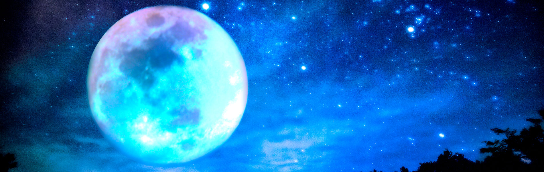 個人鑑定はLINEトークから承ります。